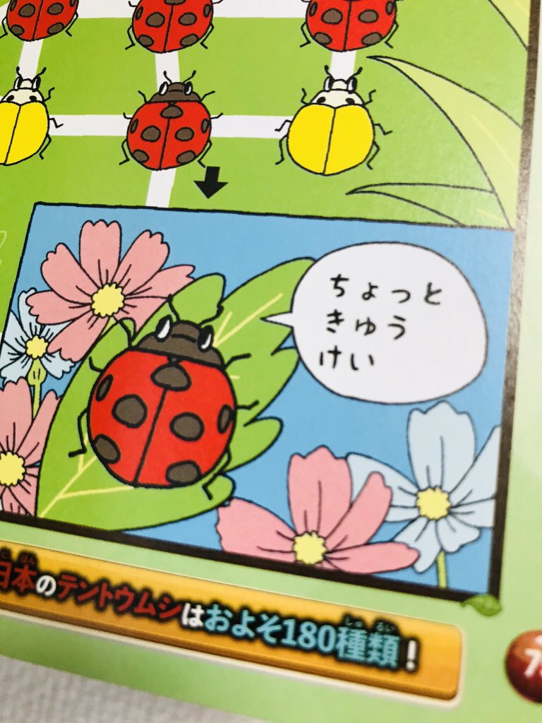 【お仕事】『ワクワク知育BOOK昆虫バトル!まちがいさがし』(朝日新聞出版)の4章の8見開き部分のまちがいさがしやめいろを描かせていただきました。カッコ良い昆虫などを描いてます。表紙は笠原ひろひとさんです。本屋で是非手に取って見てください♪ 