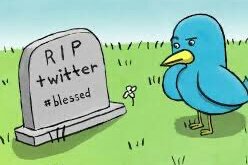 Retweet this tweet if you want edit button, not stories. 
#RIPTwitter