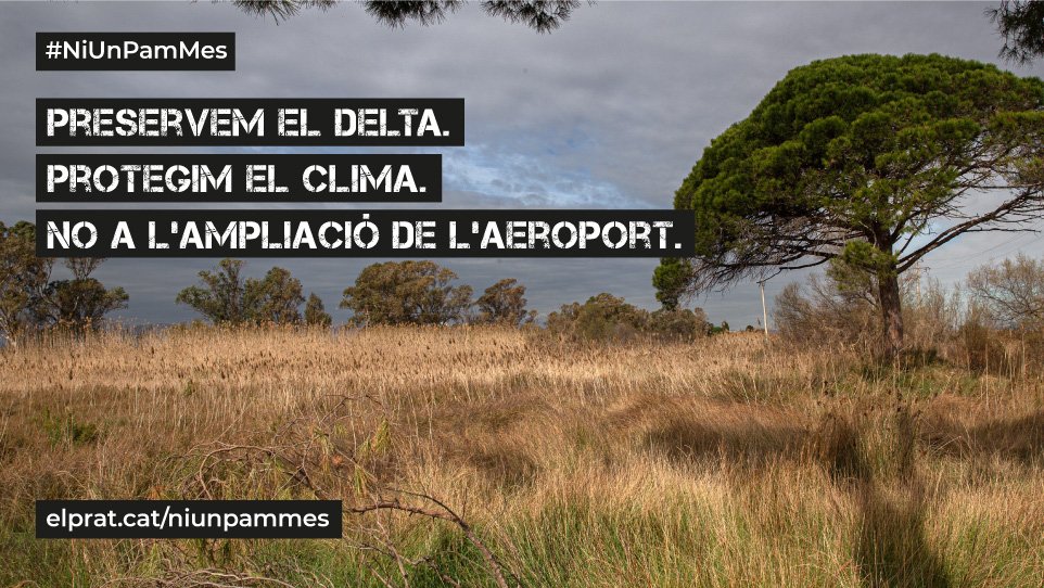 AGTkm0's tweet photo. 🚜 L'espai natural, agrícola i cultural del #DeltaDelLlobregat i del #ParcAgrari està amenaçat per l'ampliació la 3a pista de l’aeroport del Prat

💪 Ens adherim #NiUnPamMes La sostenibilitat del nostre territori no té preu

👉 Tu també pots fer-ho https://t.co/FG156gvXPT https://t.co/G82rv1Xxka