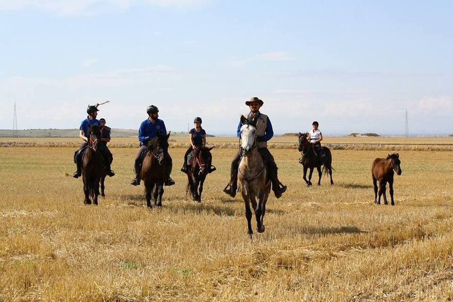 Esperienze sul Gargano, Pasqua in Puglia in una masseria biologica, formaggi freschi nei masi - mailchi.mp/f2ecda443925/e…