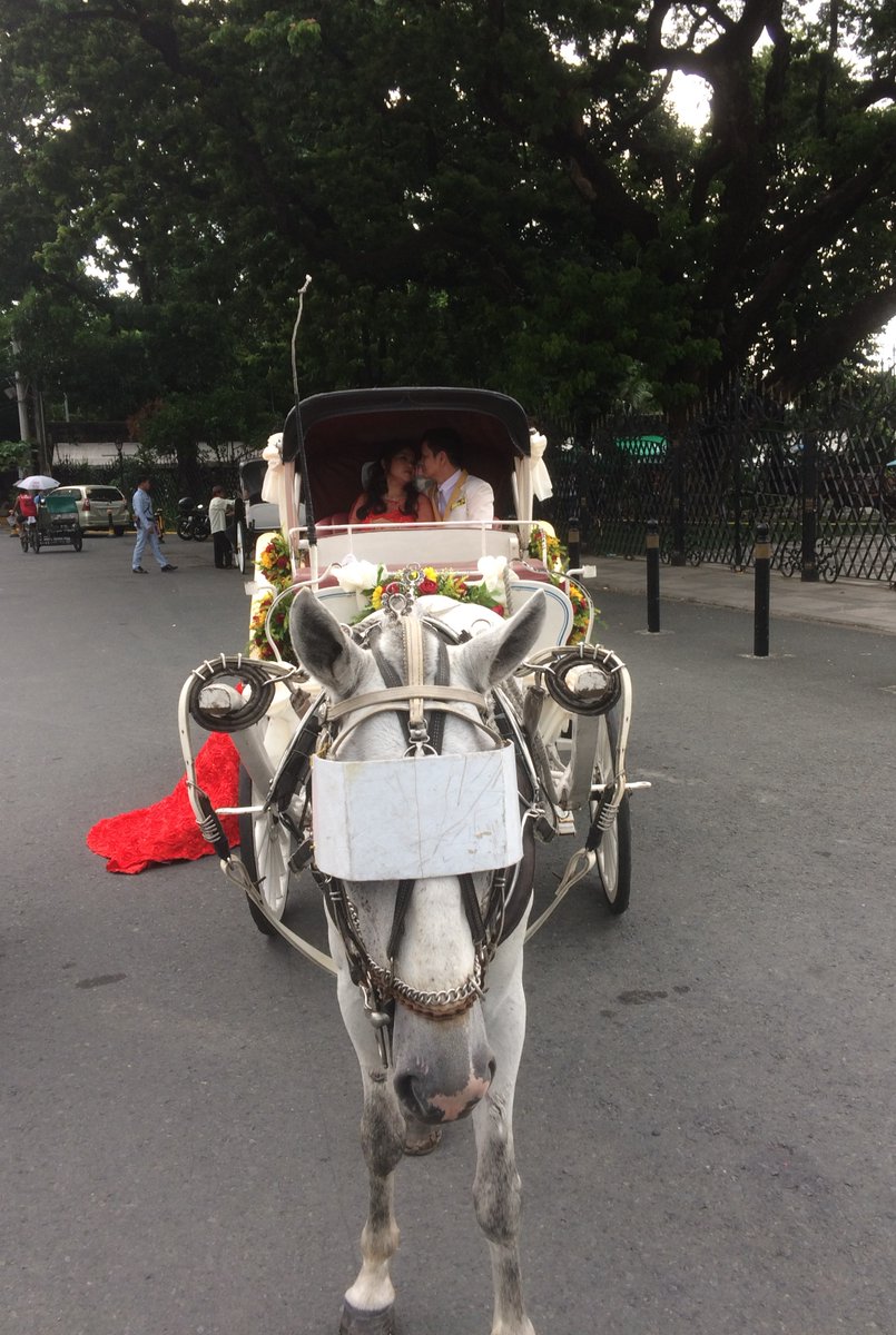 castillantour's tweet photo. Castillan Carriage &amp; Tour Services (CCTS) accepts Horse-drawn Carriage Bridal Service here in Intramuros.

For your Bridal service inquiry please visit us 
   @ https://t.co/TLNkCW7i76

Like and Share us on https://t.co/DZVqPk1Wzc

#weddingphilippines
#renewalofvows https://t.co/VilqvNoWn2