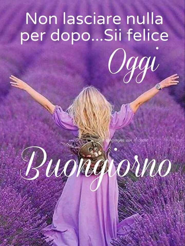 OrgoglioG's tweet photo. @DreamRo57048793 https://t.co/FO6sv1K8DU
