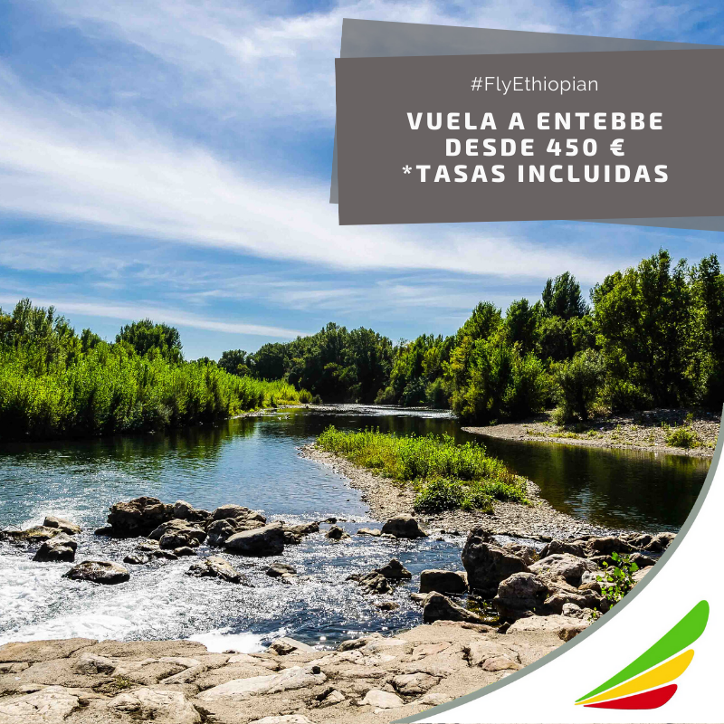 No te pierdas el Parque Nacional de Murchison Falls en Uganda donde podrás ver el río Nilo de hasta 50 metros de ancho con su hermosa cascada. 

✈️Vuela con #FlyEthiopian a Entebbe, Uganda desde 450€. ethiopianairlines.com/ES/ES