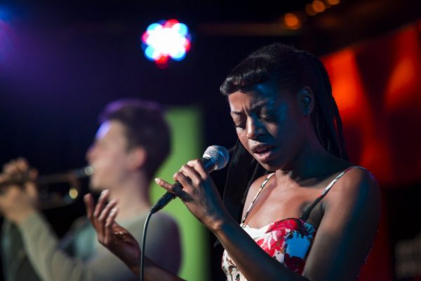 Oisterwijk Nieuws tweet media