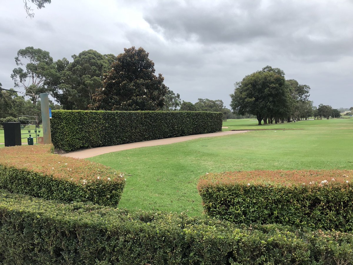 MichaelBradbe15's tweet photo. Bankstown GC keeping their hedges under control with Trimmit. #trimmit #syngenta #efficiency #sustainability https://t.co/bonCKcQcwu