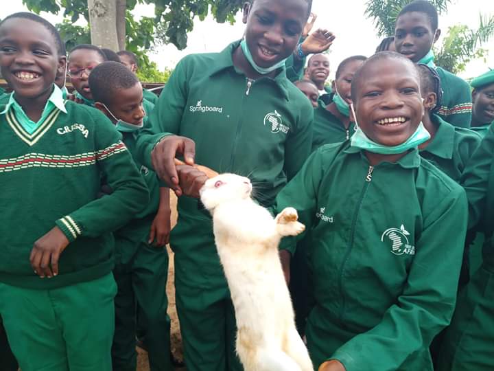 The new generation farmers raised at Springboard under the Farm to School project. Helping teenagers develop interest in Agribusiness!