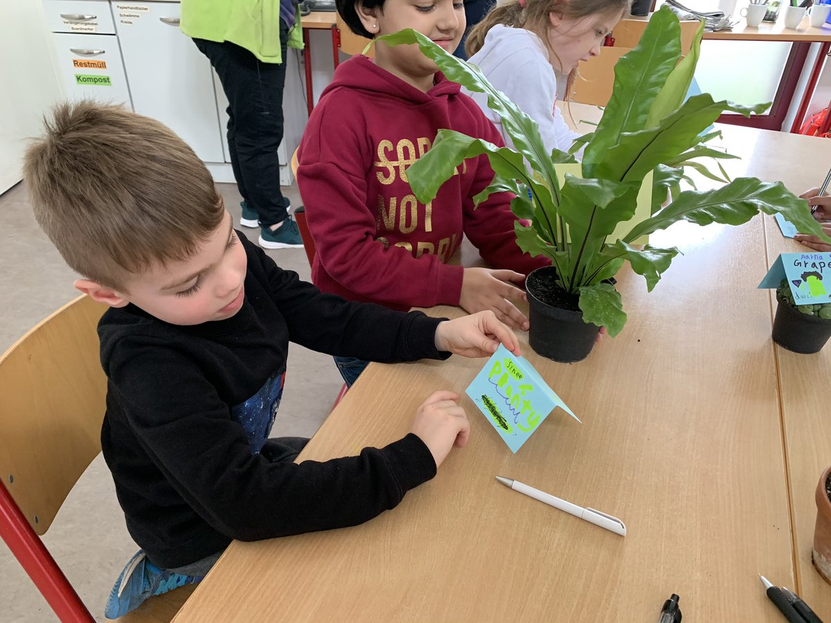 AdinJunuzovic's tweet photo. We had an amazing field trip to the school biology center.  Part of our field trip included classifying plants and looking at different soil types!
@ISHRLearns https://t.co/S7btJU1nJJ