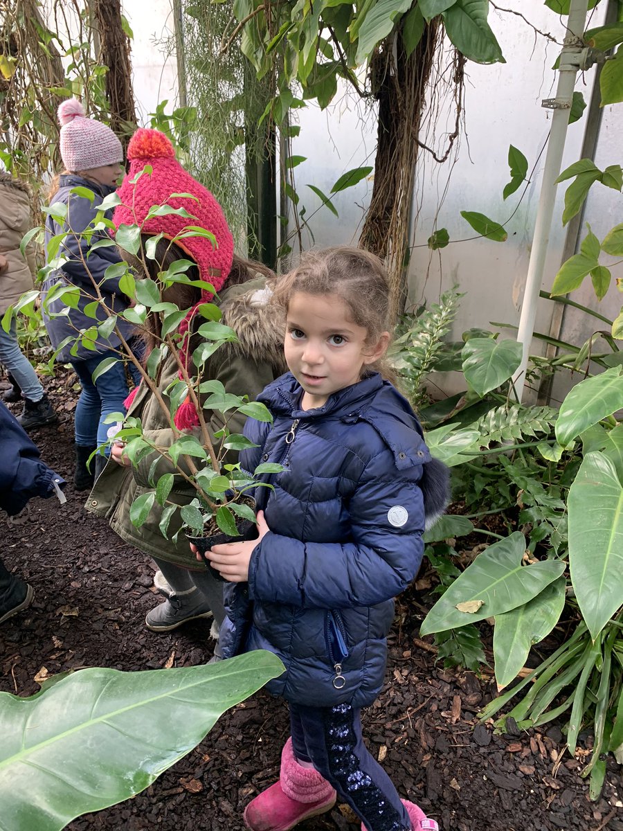 AdinJunuzovic's tweet photo. We had an amazing field trip to the school biology center.  Part of our field trip included classifying plants and looking at different soil types!
@ISHRLearns https://t.co/S7btJU1nJJ