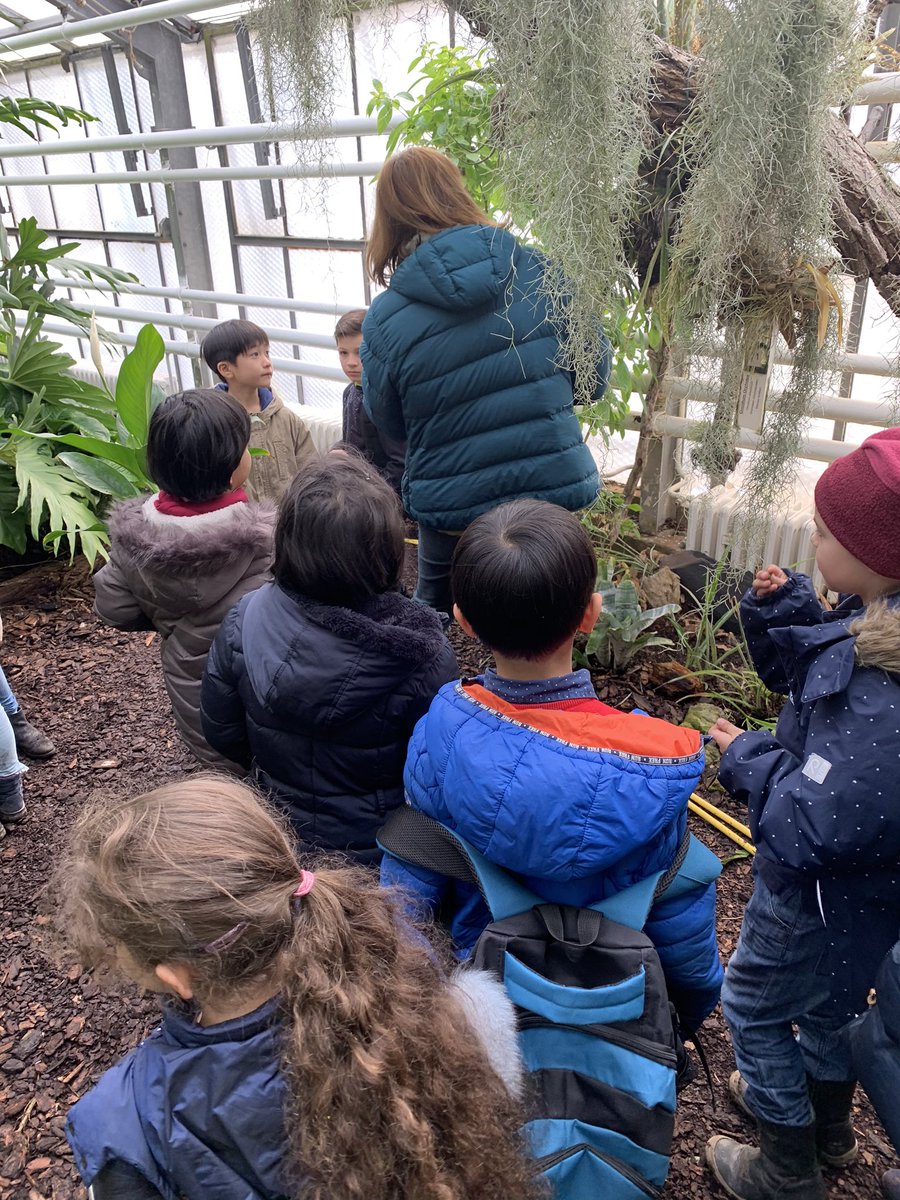 AdinJunuzovic's tweet photo. We had an amazing field trip to the school biology center.  Part of our field trip included classifying plants and looking at different soil types!
@ISHRLearns https://t.co/S7btJU1nJJ
