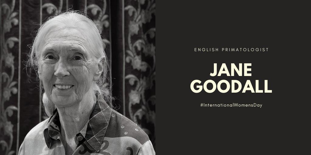 The Laborastory tweet media