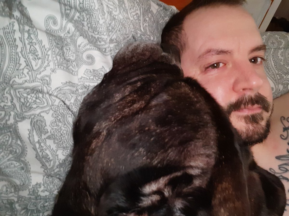 PositiveVictim's tweet photo. Frank woke me up today by plonking his 8 stone head on mine.. 
Now happily snoring directly in my ear and I don't even care. 
#goodboyfrank https://t.co/094jDfvUqX