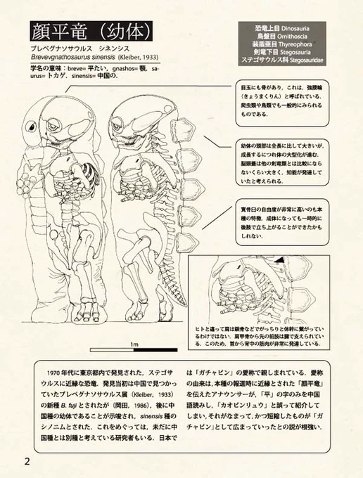 出版されなかった記載論文

#ツイッターで楽しむ展覧会 
