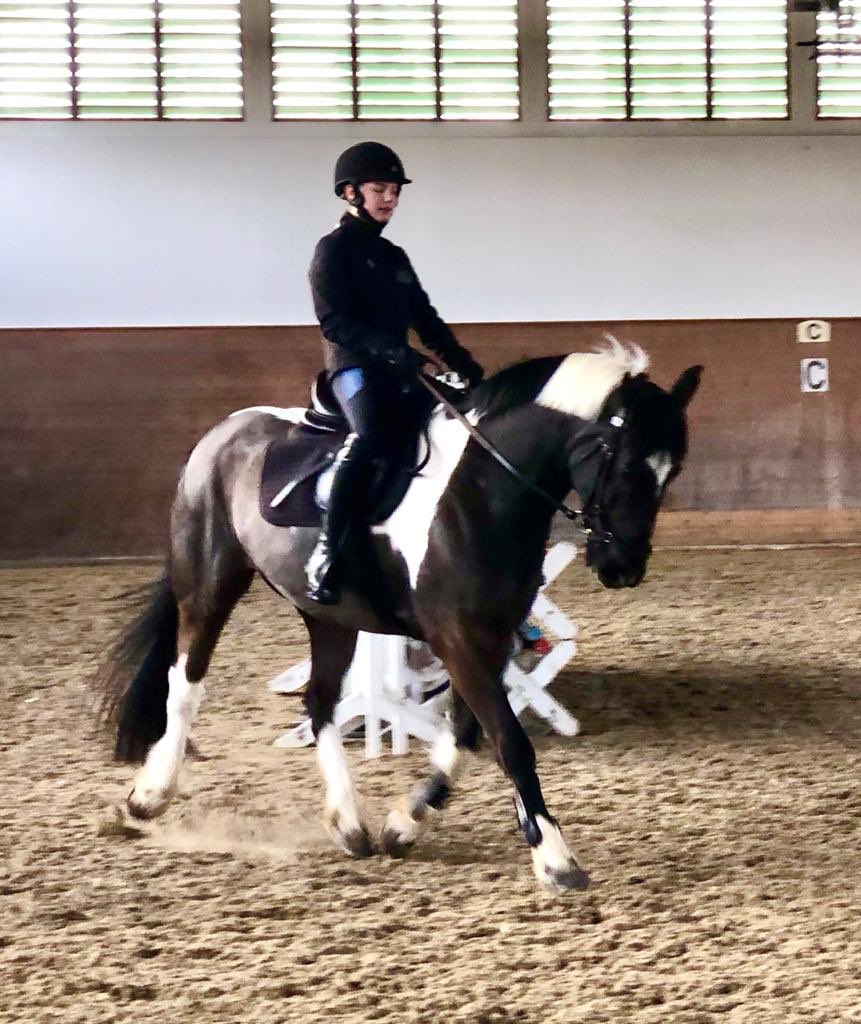Hasenacher_Stud's tweet photo. Great training session for Deco and Emilia, our 14 year old guest from Sweden 🇸🇪 #junioreventer #futurestarinthemaking #hasenacheralba https://t.co/7hE2Hi7BDG
