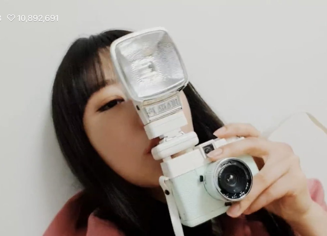 diana mini camera picnic edition