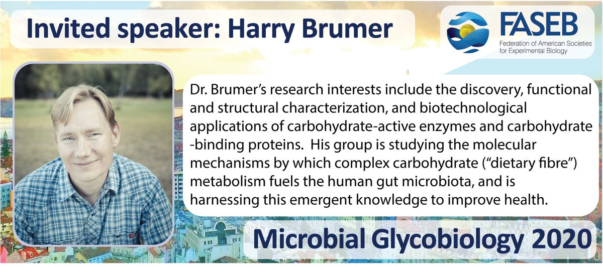FASEB_Microbial_glycobiology_2020 tweet media