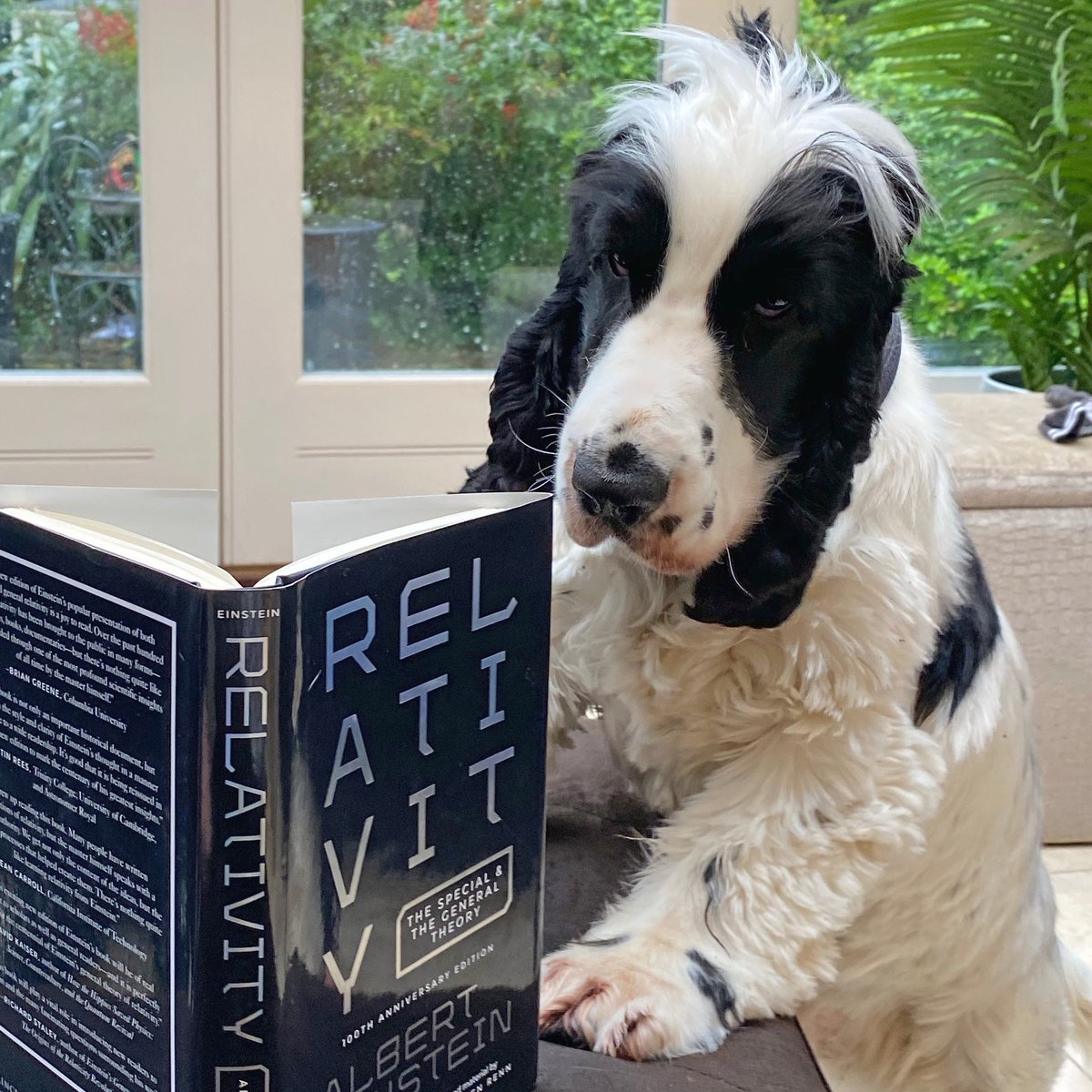 firstlondonbook's tweet photo. As it's #WorldBookDay, he thought he should get ahead with some serious reading? #FLBC #firstlondonbookclub https://t.co/1LdwCiQV55