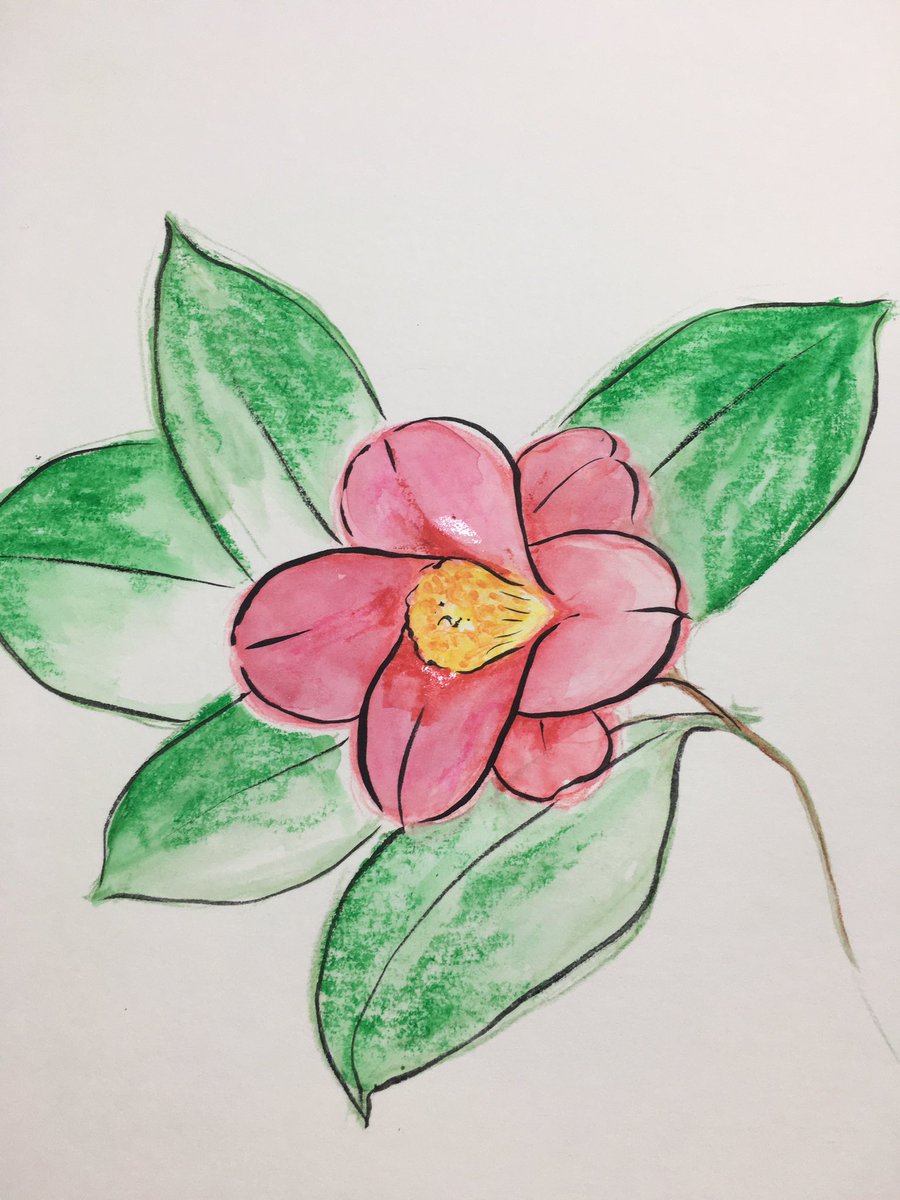 Sirenan 植物の絵とアクセサリー 紫蓮庵 しれんあん 椿 習作2 日本画 水彩画 春の花 つばき 植物 植物好き 水彩色鉛筆 下絵 スケッチ 習作 練習 イラスト Sirenan 植物の絵とアクセサリー 紫蓮庵 しれんあん 椿 習作2 日本画 水彩画 春の花 つばき 植物 植物好き 水彩色鉛筆 下絵 スケッチ 習作 練習 イラスト