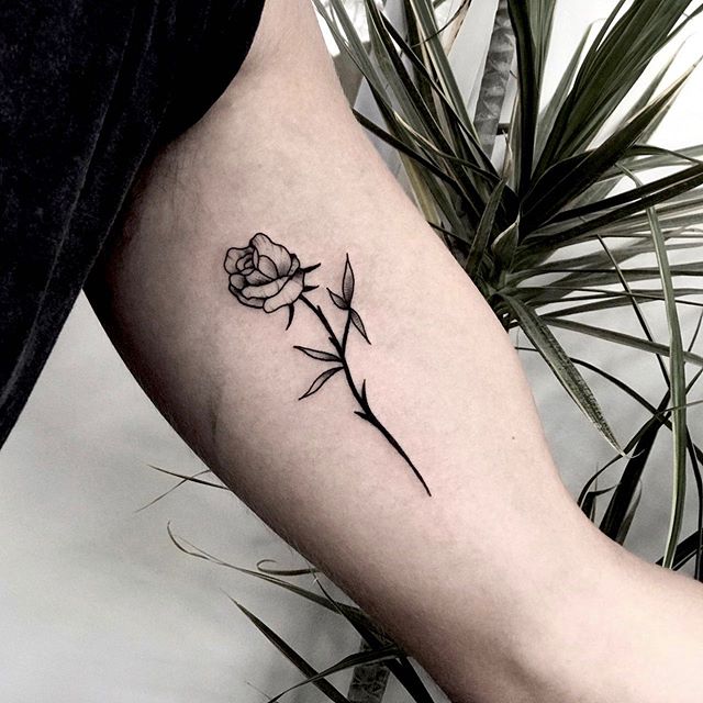 Charlie Rose Tattoo Canggu Bali Crt Bali Twitter