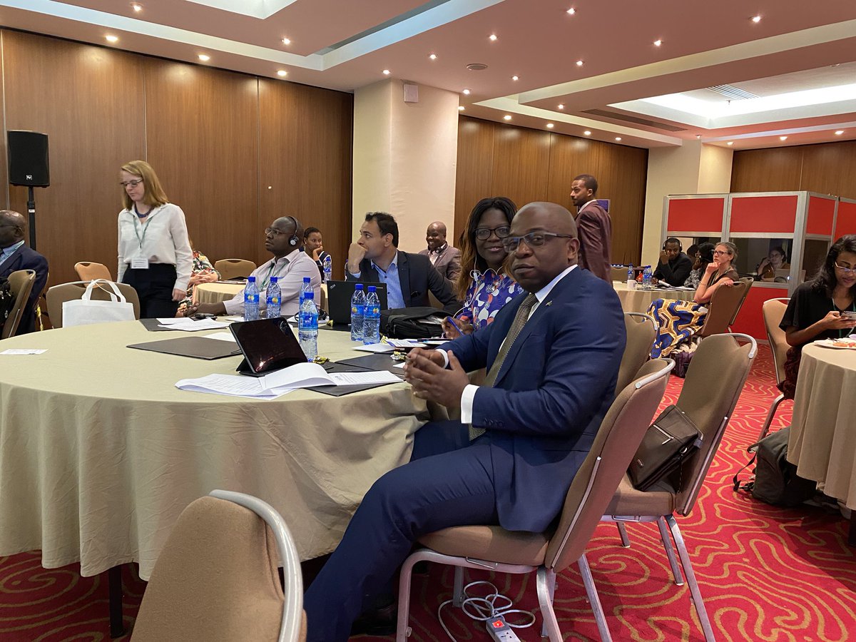 Desirelou's tweet photo. US and AU addressing IPRs issues with regard to the IP Protocole of AfCFTA https://t.co/qdfn6Xezqb