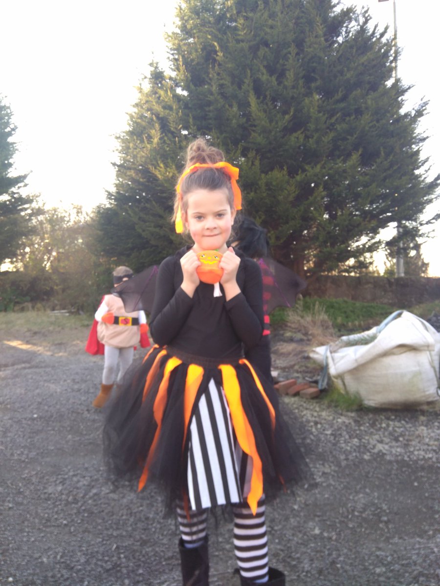 CCamer0n's tweet photo. Grier is a huge @Lillustrator fan so #ameliafang was the only choice for World Book Day complete with Squashy. Spot Supertato and Dennis the Menace too! https://t.co/WqB0EwMiHq
