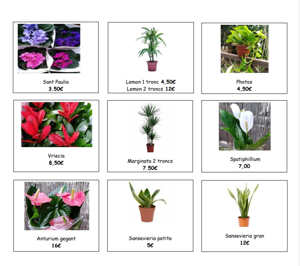 afavalles's tweet photo. 3er mercat de plantes solidàries https://t.co/yDKURnLo3V https://t.co/suHyGXZloU