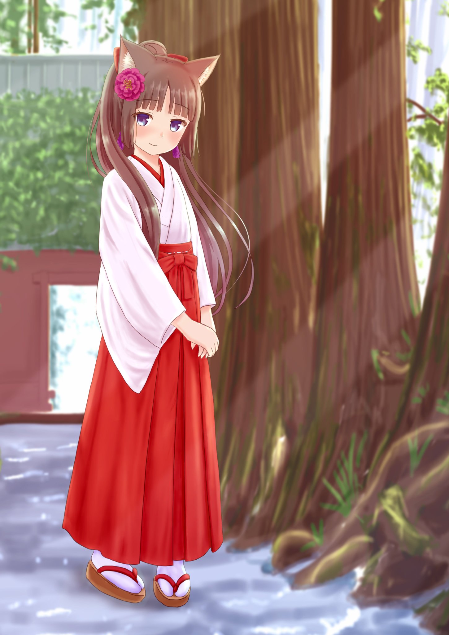 双子の猫耳巫女」|狐巳夜シュウ🌌新規絵のイラスト