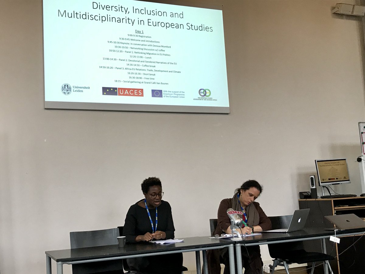 If we want to be serious about diversity and inclusion in EU Studies, we should stop universalizing Western theories and start asking research questions that are meaningful to those we want to benefit from our research. Densua Mumford hits the nail on the head at #DIMES workshop.