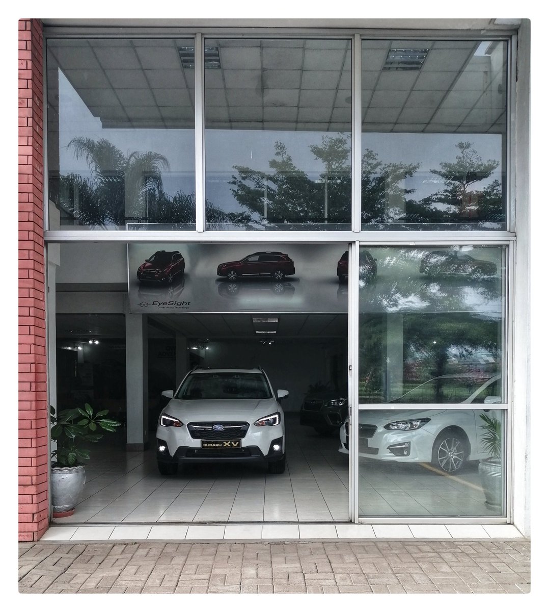 3. Turn on the grid on your camera settings. These most common is the rule of thirds which will have two vertical lines and two horizontal lines. Try keep your subject where the lines intersect for more appealing photos. Also keep your horizons straight.