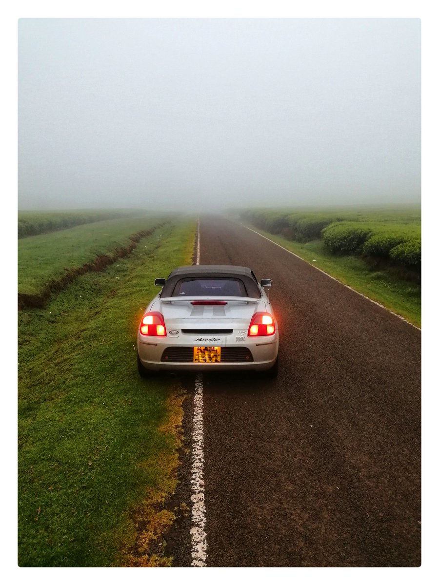 4. Use leading lines to lead the viewers eyes towards your subject.The lines can be straight or circular and can be anything from train tracks, a path, road, staircase etc