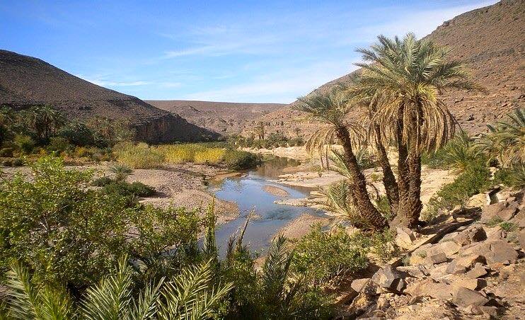 Soleilbleutours's tweet photo. ¿A que esperas para conocer  Marruecos? 
Visita Marruecos te lleva a los rincones más especiales 
#soleilbleutours #desiertomarruecos #bloggerdeviajes  #travelphotography #travelblogger #TravelTuesday #Traveller #Marrakech  #Morocco https://t.co/RF7KnahcZI