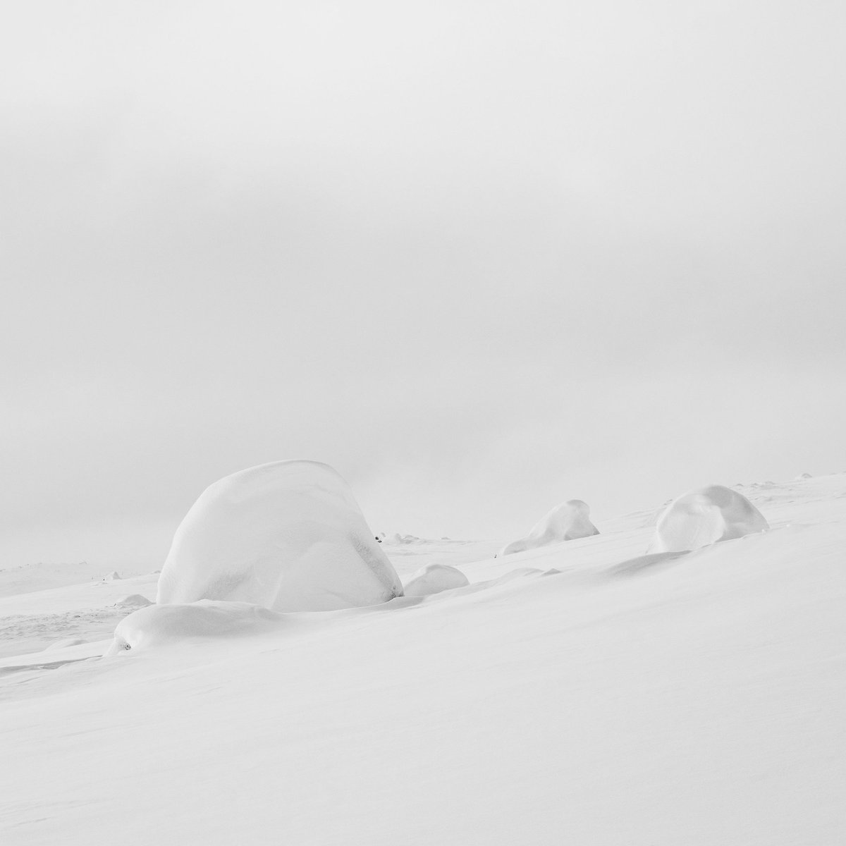 Shapes of winter ❄️
#adventurematters #exploremore #getoutside #laplandexpeditions #lapland #69degreesnorth #kilpisjärvi #arcticeurope #wildernessguide #fellguide #blackandwhitephotography #samsungs10plus #minimalphotography