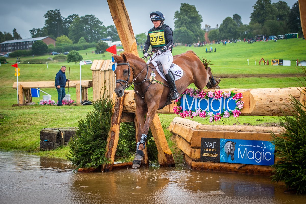 equestrianindex's tweet image. #EquestrianNews

Catch up with the latest from your industry! Top stories from @HartpuryEvents @HicksteadEvents @MasterSaddlers  @windsorhorse @AbbeyEngland @ZebraProducts 

Take a look! equestrianindex.com/news