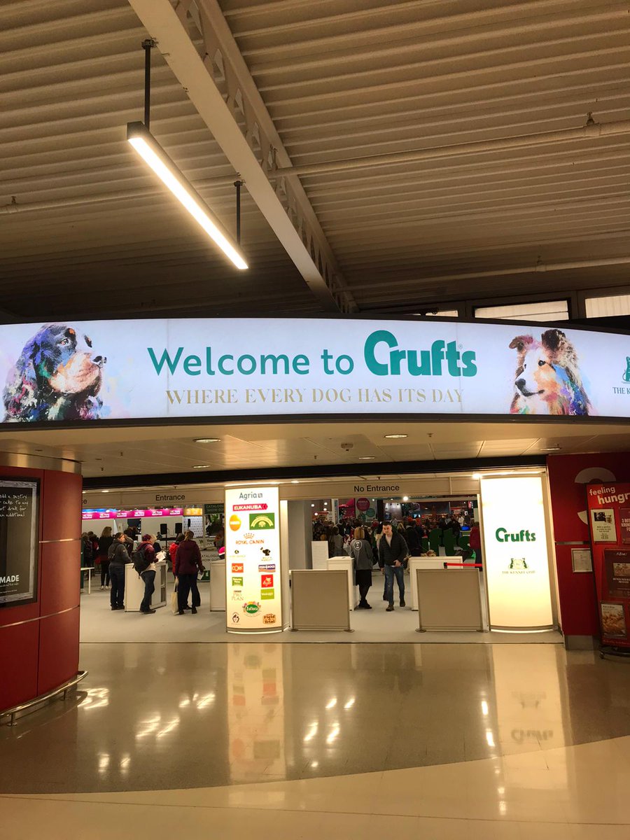 noblefutures's tweet photo. Yey, it's Crufts time! A day for the dogs and the action is hotting up already 🐶🐶🐶
#crufts #crufts2020 #lovedogs https://t.co/H9IHWQzPe4