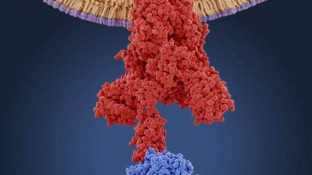 Health boss in York reassures people risk to individuals is still "low" after third case of coronavirus is confirmed in city: bbc.in/2VHz6BA