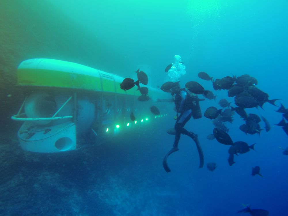 BackpackersM's tweet photo. 45 minutes of under water submarine experience, should be on the bucket list of anyone 🐠🐟🐡

SUBMARINE TOUR➡️ https://t.co/sxTz4WPPgf

5 EXCURSIONS &amp; TOURS TO EXPERIENCE IN MALDIVES ➡️ https://t.co/zKGbiMwb1y

#maldives #submarine #underwater #excursion #reef #corals #fishes https://t.co/s6PGxZUAKx