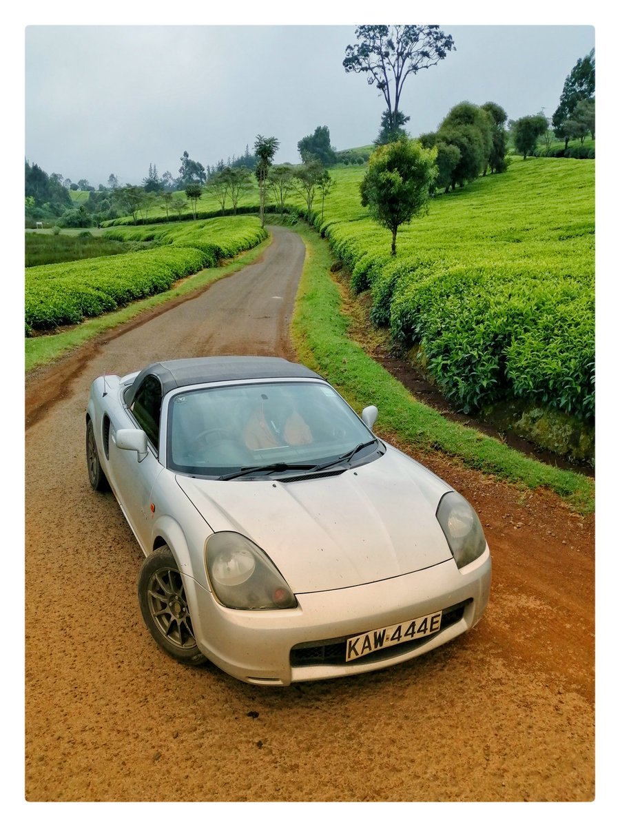 6. Shoot in different perspectives.Example is shooting from a higher angle with camera facing down or from a low angle with the camera facing upwards.It breaks away from the normal "eyelevel view" we see things and thus makes photos more captivating