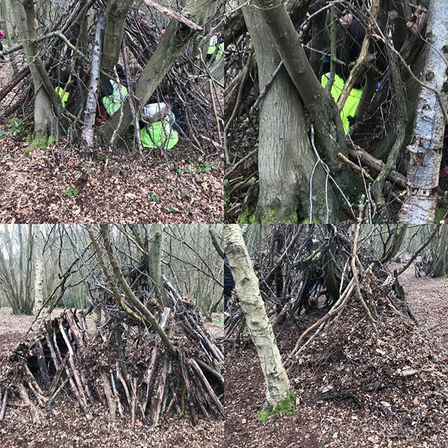 Cardfields tweet media