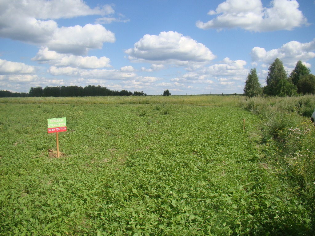 123vnkr4's tweet image. #Продажа_земельных_участков
Продается земельный участок 10 сот. в д. Михали, 90 км от МКАД. Хороший подъезд, через д.Ельцы и Наумово.
Цена: 300 000
Вадим: +7 900-582-63-94. 
Владимир: +7 960-728-75-36
#Купить_дом 
#Киржачская_недвижимость 
#Купить_участок 
#АН_Восток_Центр