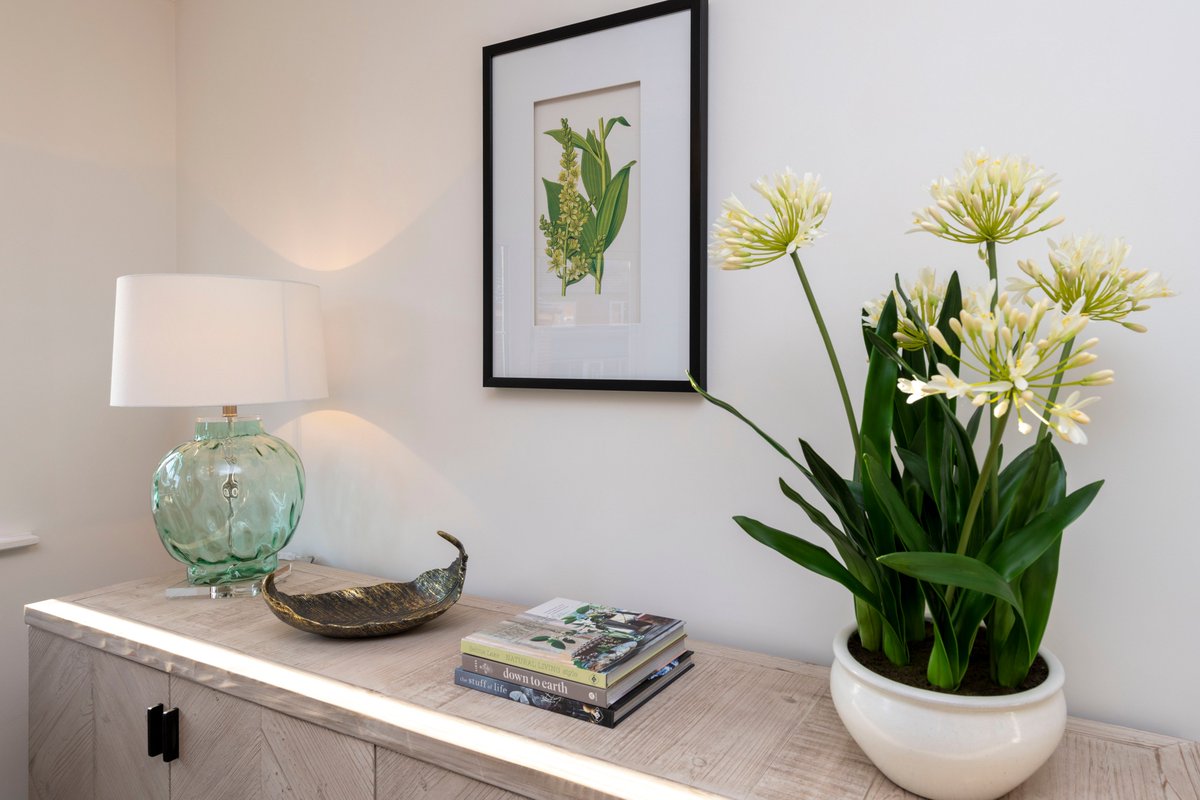 BV_Homes's tweet photo. It's the little details that turn a house into your home 🏡📚

Happy World Book Day!

#BramptonValleyHomes #NewHomes #WorldBookDay #LuxuryHomes #MakingaHouseaHome #NewBuildHomes #NewBuildJourney #HousetoHome https://t.co/B9bjJ0aP5i
