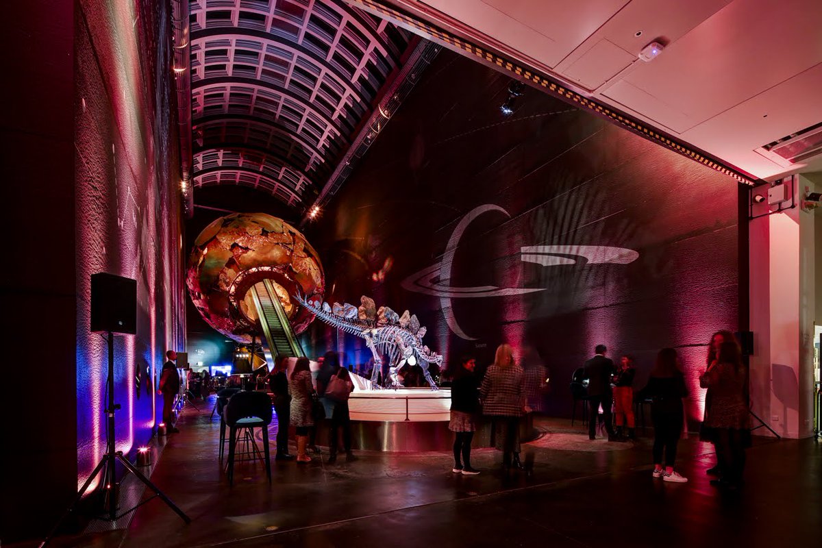 Velvet Living tweet media