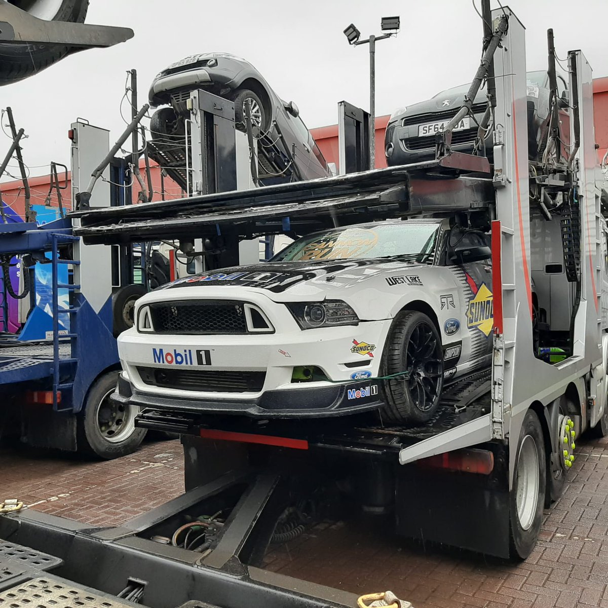 Eirtrans's tweet photo. #Mustang being treated with loving care! https://t.co/XBJl53uYns https://t.co/za01V7CsTu