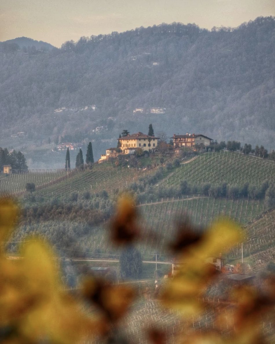 A wonderful hilly landscape and the production of a renowned DOCG wine make Scanzorosciate a unique place, a must visit! 🍷✨

Have you ever been there?
bit.ly/37k9psM

📍 Scanzorosciate
📷<a href="/cristym/">CristyM</a>.69

#visitbergamo #bergamojustamazing #inlombardia