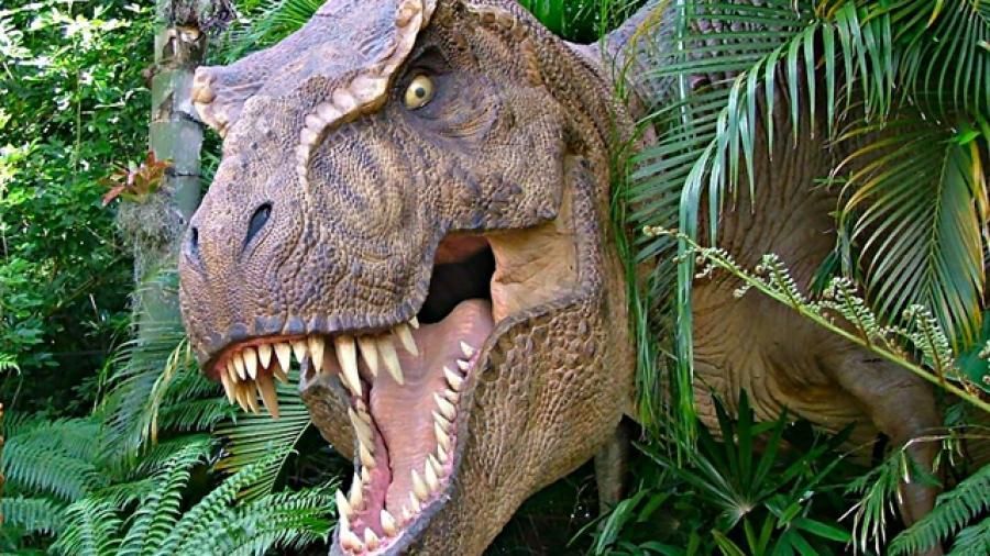 Festa di compleanno a tema T-Rex allo Stadio Domiziano
#festa #museo #bambini #roma #mammacult
hubs.ly/H0mzMVF0