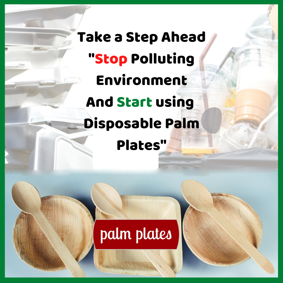 Let's stop polluting the environment and Let's start using Disposable Palm Plates

Call now for order:- +91 8291626221

Visit:- palmplatesindia.com

#savetheanimals #disposableplates #weddingplates #thanksgivingplates #servingplaters #disposableserving #Palmplatesindia
