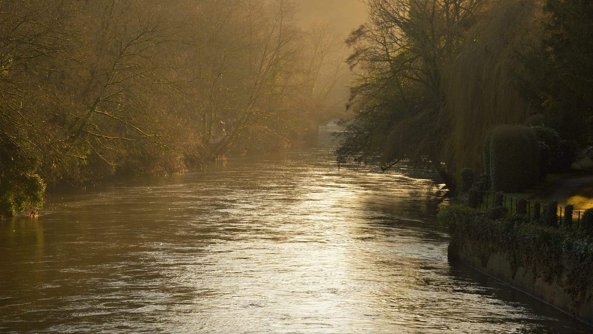 RiverTreeD's tweet photo. Stunning view of the peaceful river in #bradfordonavon. Wonder if it's overflowing in today's weather? https://t.co/BUoZEtqSq5