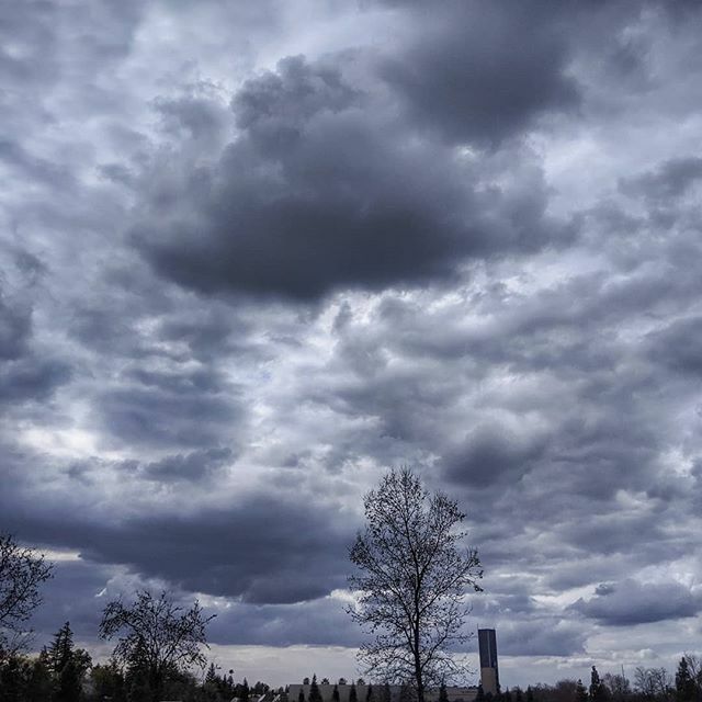 Another picture from my walk a couple days ago. Give me trees and skies and the magic is ENDLESS! .
.
#SkyScape #Landscape #LandscapePhotography #NaturePhotography #Clouds #CloudPhotography #Weather #California #CaliforniaTravel #CaliforniaPhotography ift.tt/39qJgKW