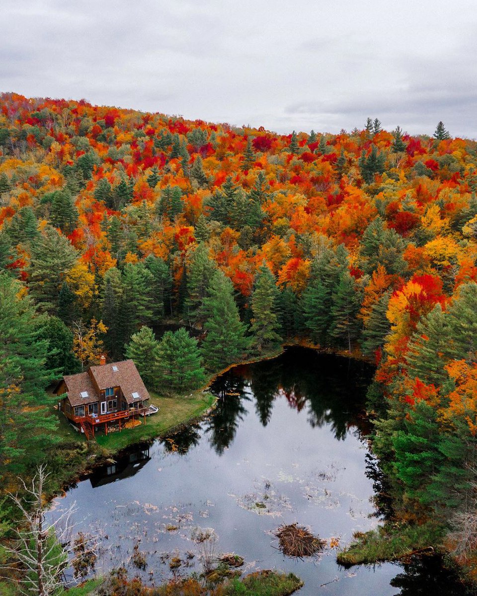 CapmingI's tweet image. A mountain-top private pond paradise. Katy Perry #camping #campinglife #campingwithdogs #campingtrip #campingcollective #MakeTrumpNervousIn4Words