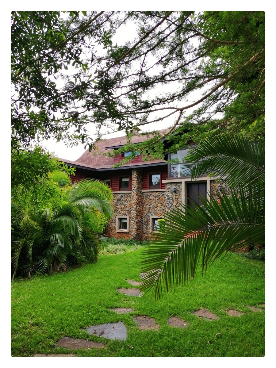 10. Frame your subjects.Use objects around you to frame your main objects. You can use plants as in the attached pics, windows, doors, other objects etc.