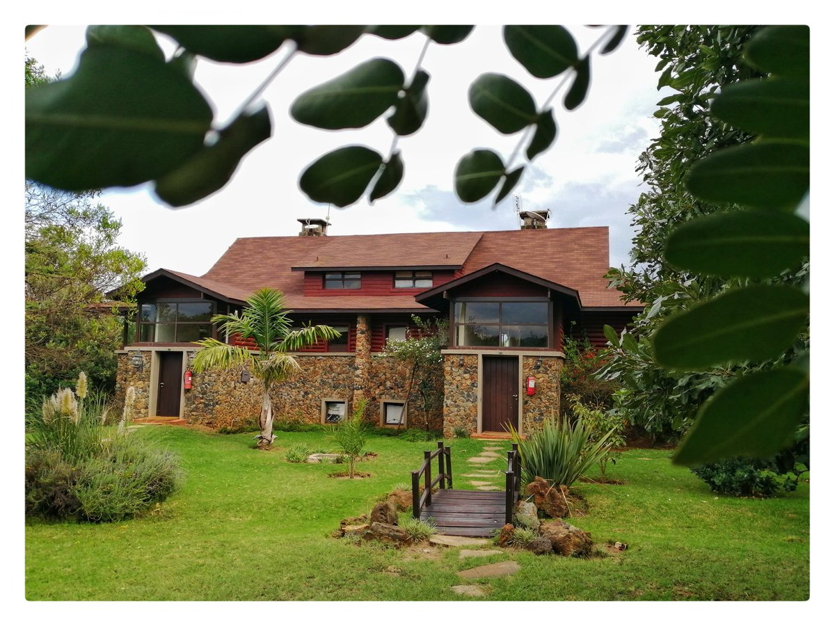 10. Frame your subjects.Use objects around you to frame your main objects. You can use plants as in the attached pics, windows, doors, other objects etc.