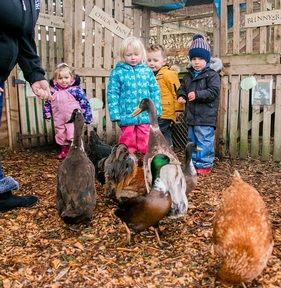 Each Peach Forest School is a ‘peaceful’ haven where children can run with ‘no restrictions’. We think this is a great development for early years education but what do you think? Let us know in the comments below! bit.ly/2PJpQsS #Discussion #earlyyears #NurseryNews